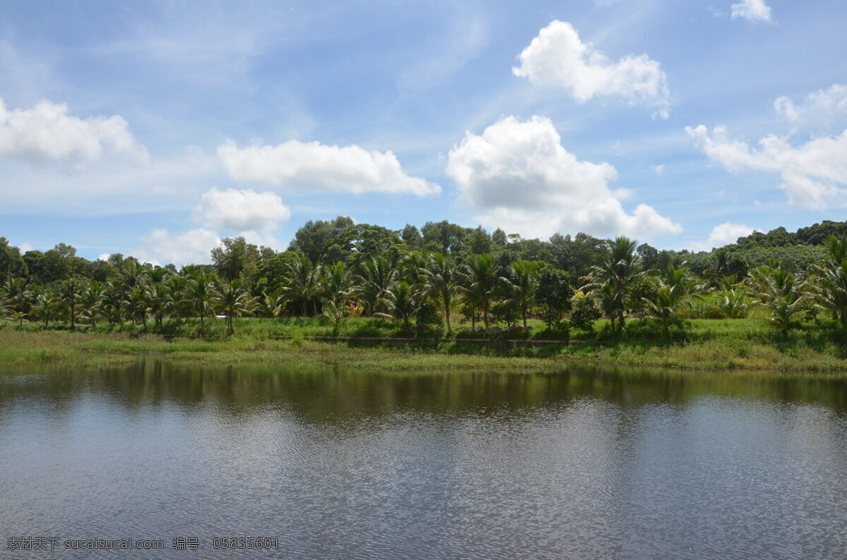 蓝天 白云 椰子树 椰子林 海南风光 湖景 湖边风光 自然景观 自然风景 灰色