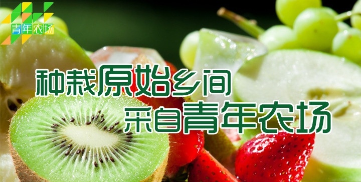 水果农场 水果 鲜果 绿色水果 绿色水果网页 水果界面 移动界面设计 源文件