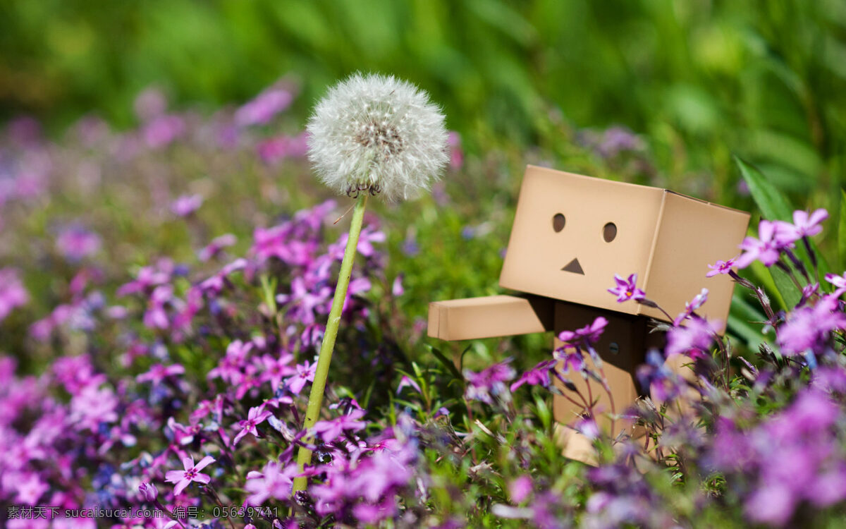 摄影免费下载 lomo 纸箱人 danboard 阿楞