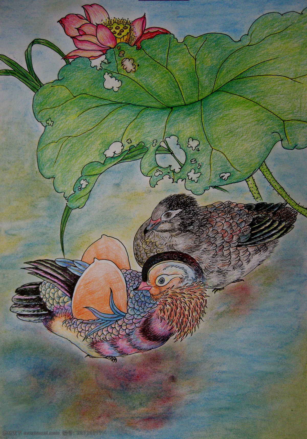 卡通画 卡通 绘画 绘画书法 文化艺术