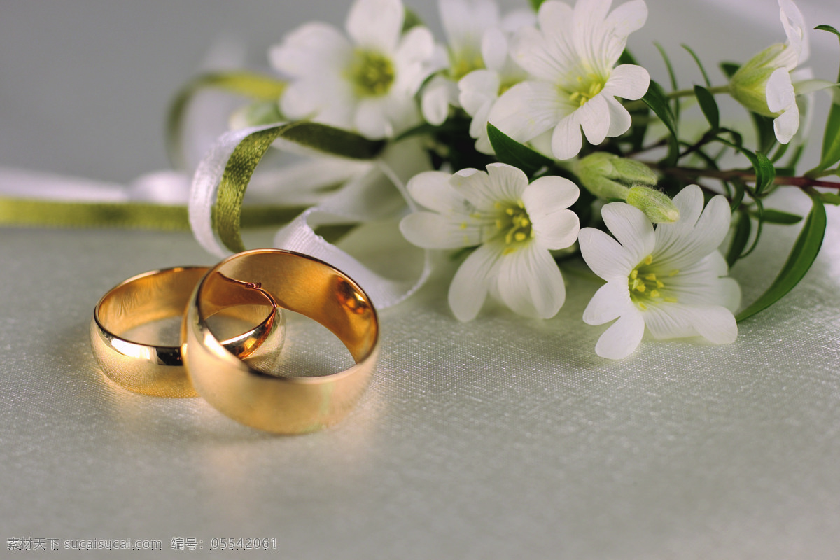 情侣 黄金 戒 高清 婚戒 对戒 结婚戒指 鲜花 花朵