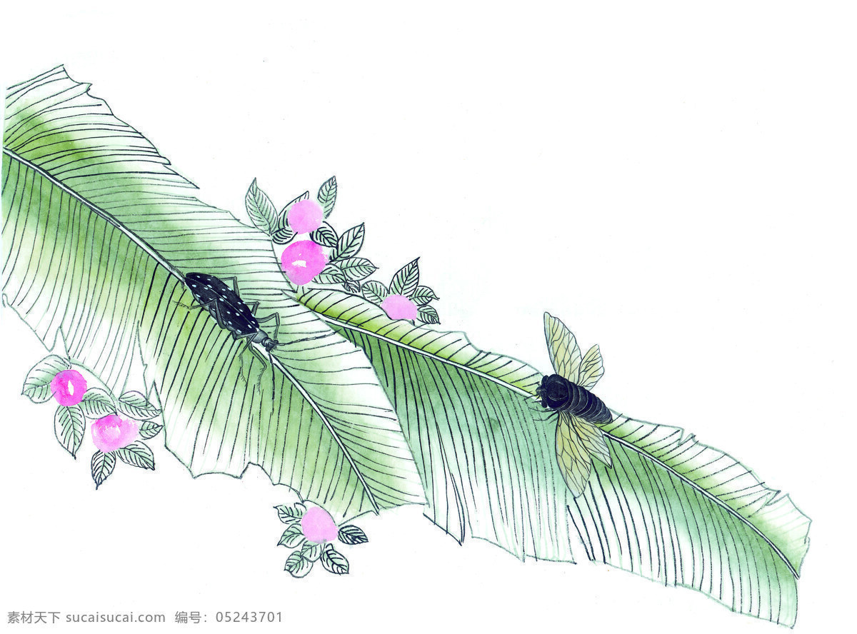 水墨画 蝗虫 昆虫 蚂蚱 蛐蛐 知了 中华艺术绘画 文化艺术