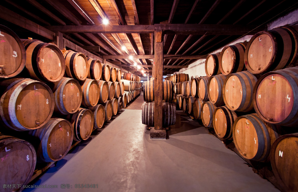橡木桶 法国橡木桶 酒堡 地窖 葡萄酒 酒窖 法国红酒 农业生产 现代科技