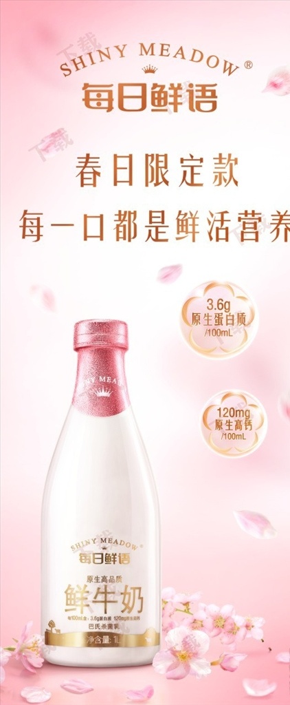 每日 鲜 语 展架 画面 樱花 花瓣 免抠图 单个元素 鲜牛奶 产品海报 皇冠 粉红色 展架海报
