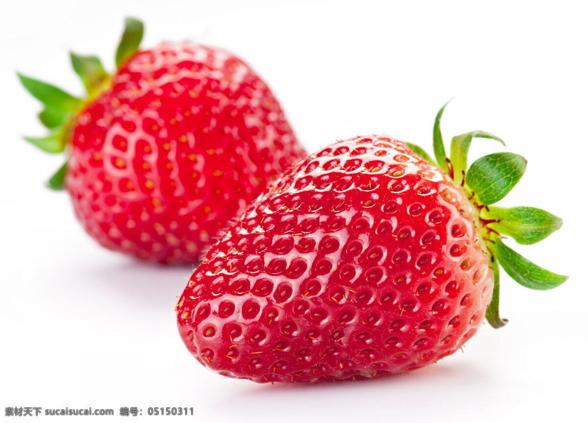 两颗草莓 新鲜的草莓 草莓 鲜果 水果 美食 美味 水果摄影 生物世界