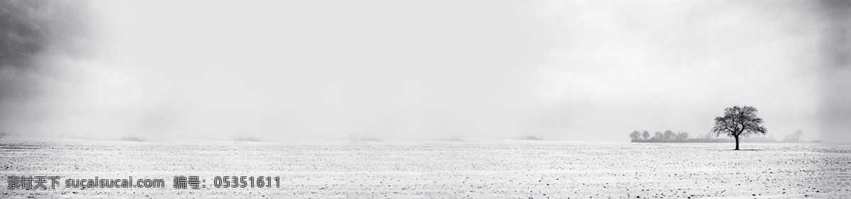 雪地 雪景 海报 背景 白雪 树 白色 背景素材 淘宝 天猫 1920 全 屏 全屏背景 淘宝背景 天猫背景 psd格式