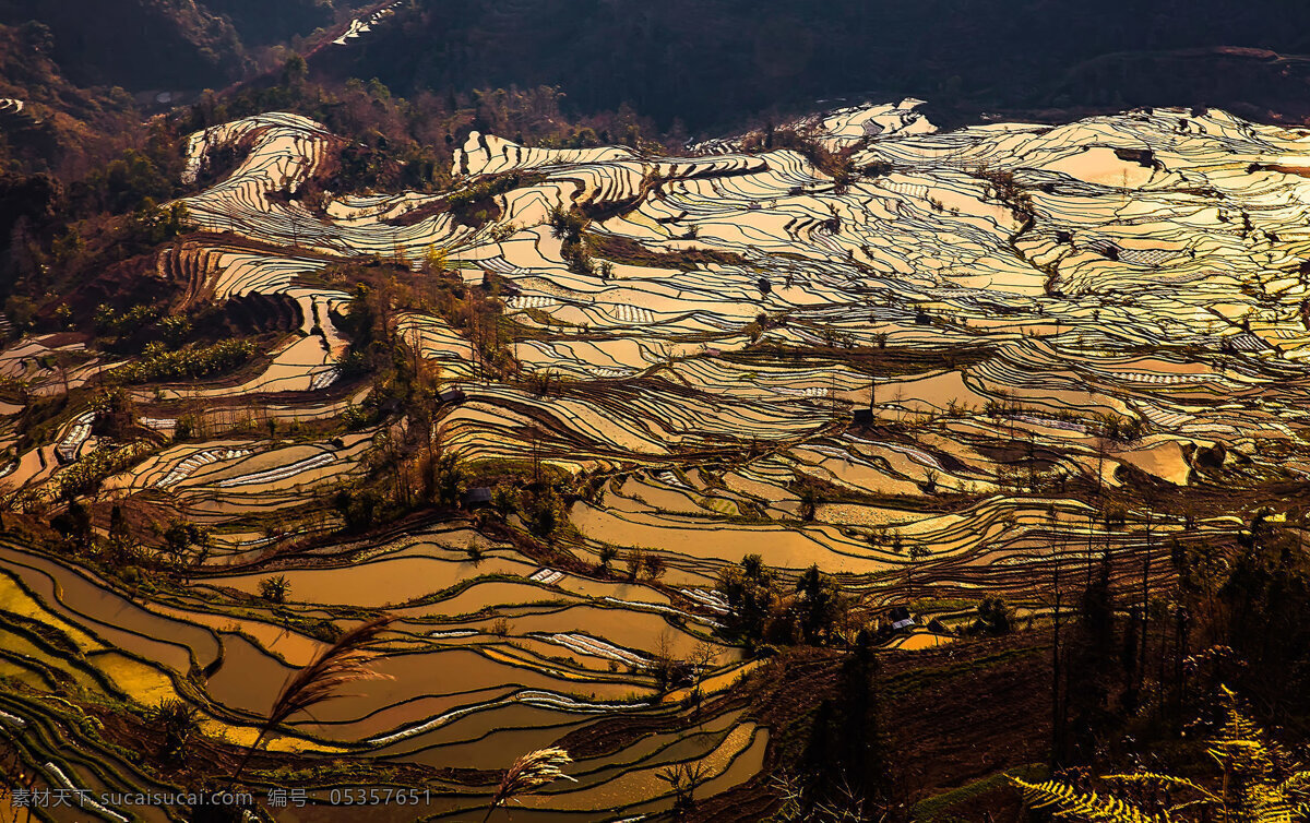 云南 元阳 梯田 风景