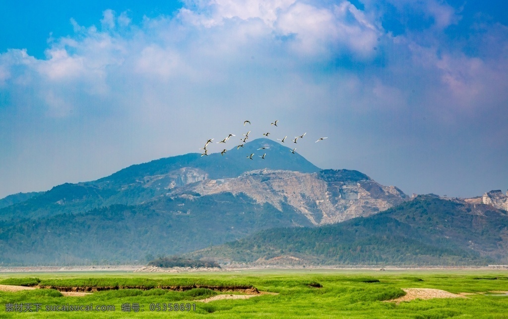 鄱阳湖 草地 飞鸟 树 远山 蓝天白云 自然景观 自然风景