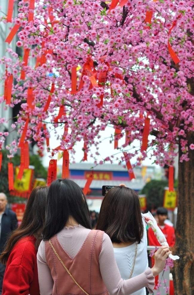惠州水东街 水东街 惠州 古楼 楼阁 地标 春节 人文 拍摄 自拍 热闹 过年 逛街 步行街 老街 古香古色 仿古建筑 美食街 桃花 旧城改造 惠州风光 旅游摄影 国内旅游