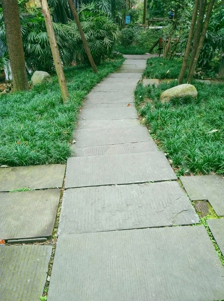 公园石板路 石头路 绿色 秋天 石板路面 青石板路 石板路素材 杜甫草堂 树木 生活 生活百科 生活素材
