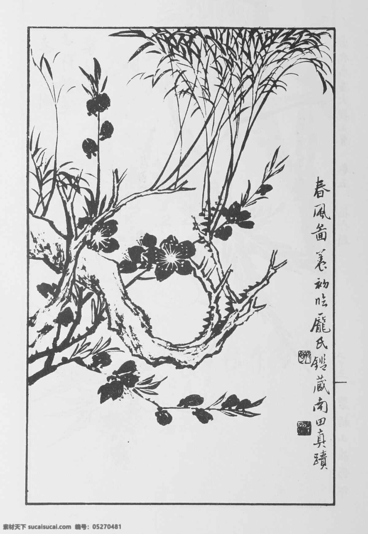 花卉画 中国画 当代 名画 大观 正 集 设计素材 花鸟画篇 中国画篇 书画美术 白色