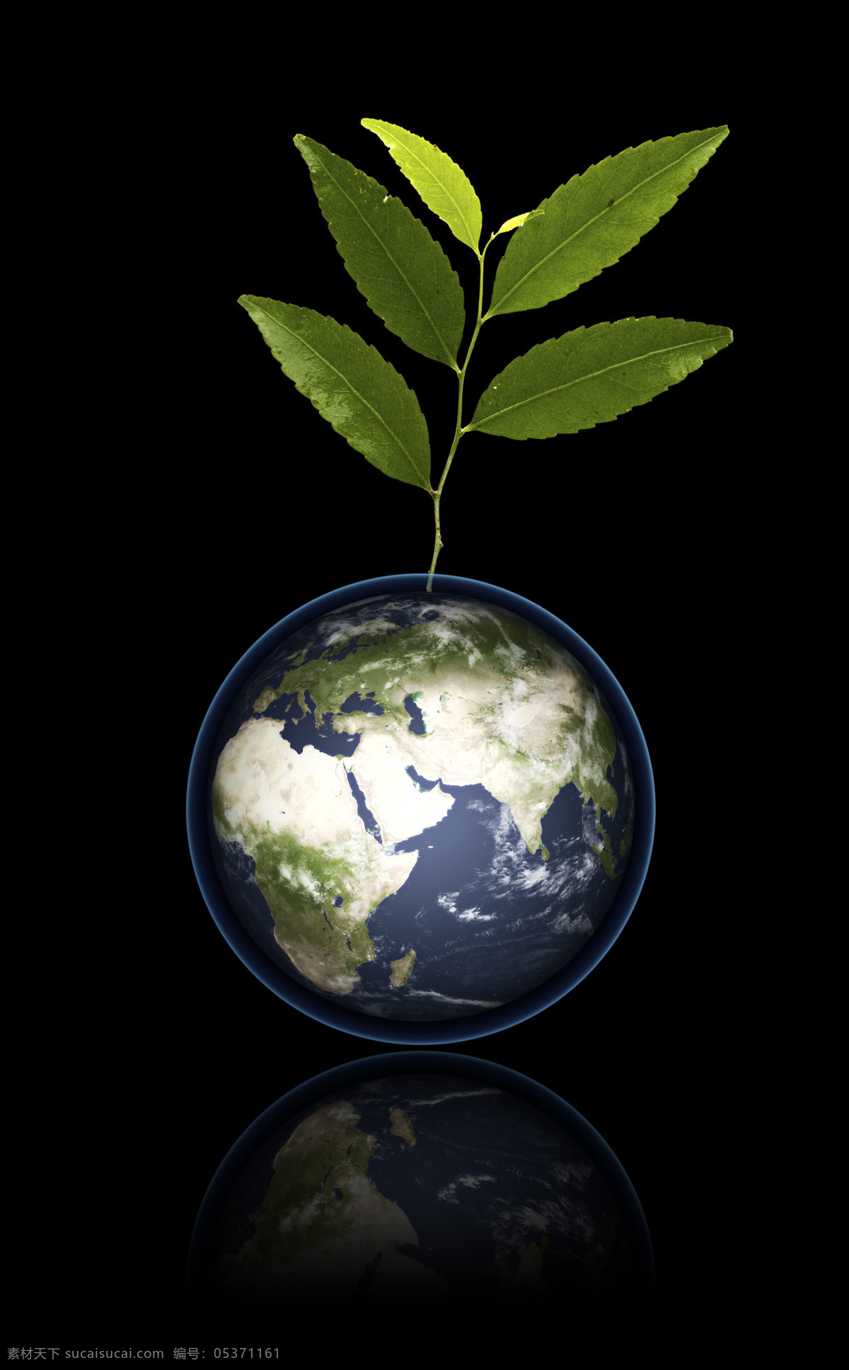 低碳环保地球 绿色地球 绿叶 地球 绿色 环保 生命 保护地球 生态 蓝色星球 世界 低碳环保 创意设计