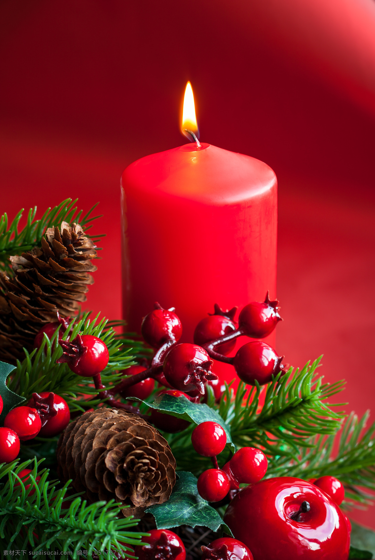 红色 蜡烛 浆果 圣诞节 圣诞节元素 松枝 节日庆典 生活百科