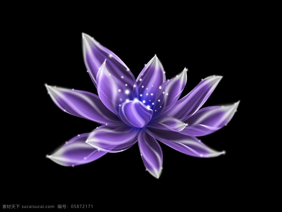 紫色 发光 花 元素 发光的花 闪亮透明花朵 紫色发光花 莲花 荷花