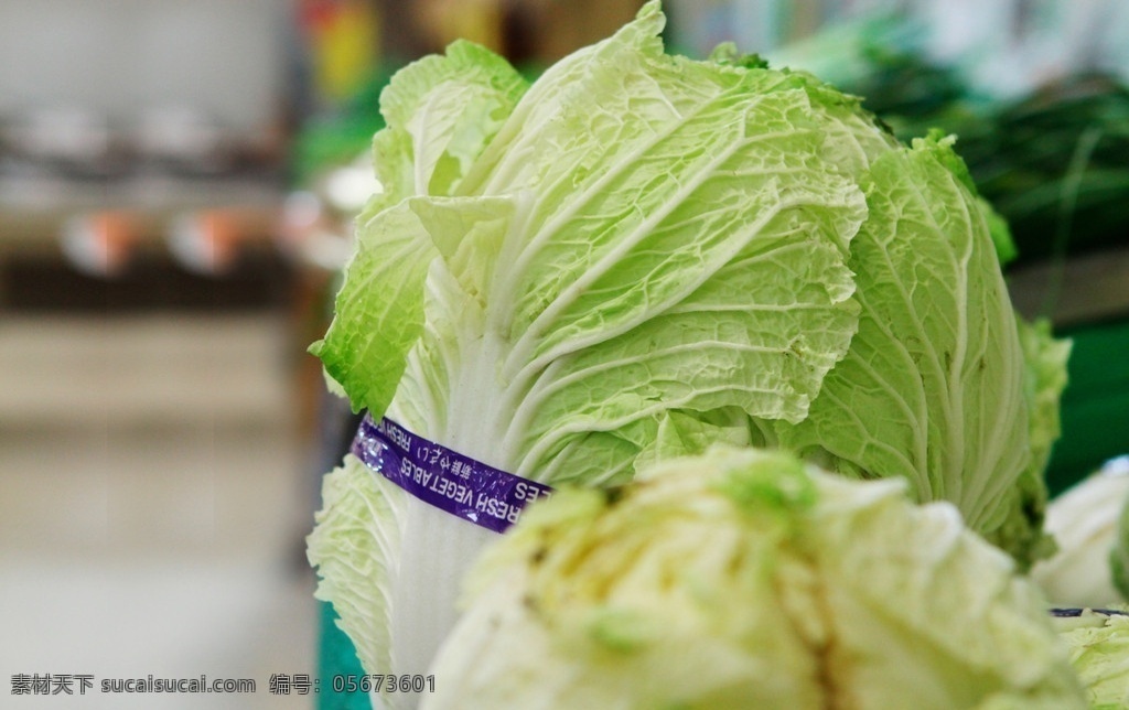 超市生鲜 大白菜 蔬菜 dm 生鲜邮报 生物世界