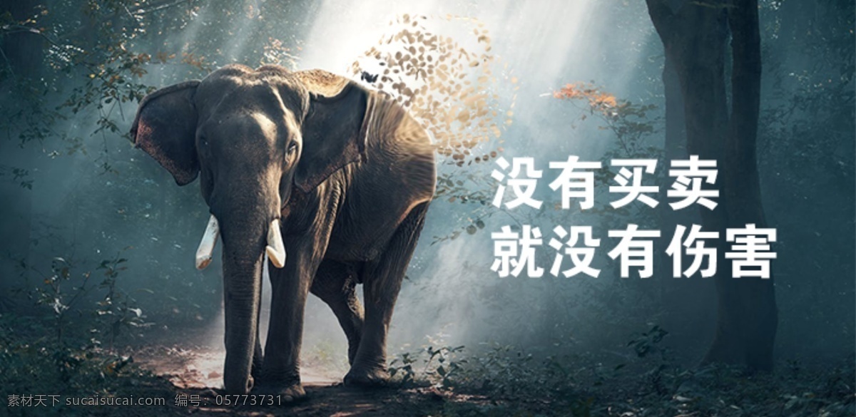 保护大象图片 保护 珍爱 大象 动物 海报 宣传