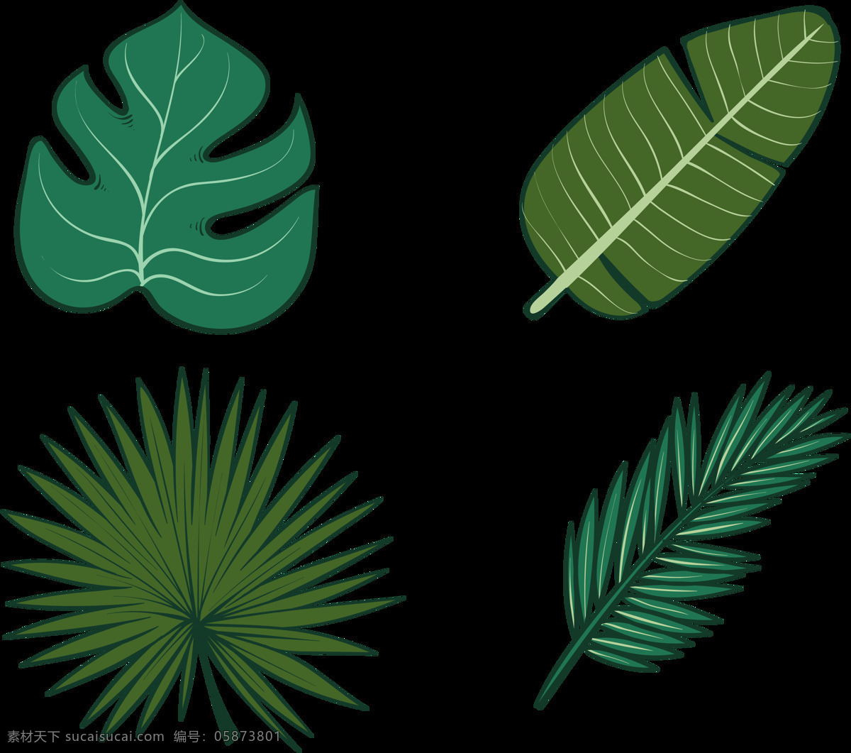 棕榈 叶子 插画 免 抠 透明 图 层 春天素材 清新树叶 植物 绿色叶子 绿色树叶 卡通叶子 棕榈叶 花藤 叶子装饰 叶子边框 叶子花边 花藤树叶 边框素材 彩色树叶 装饰素材