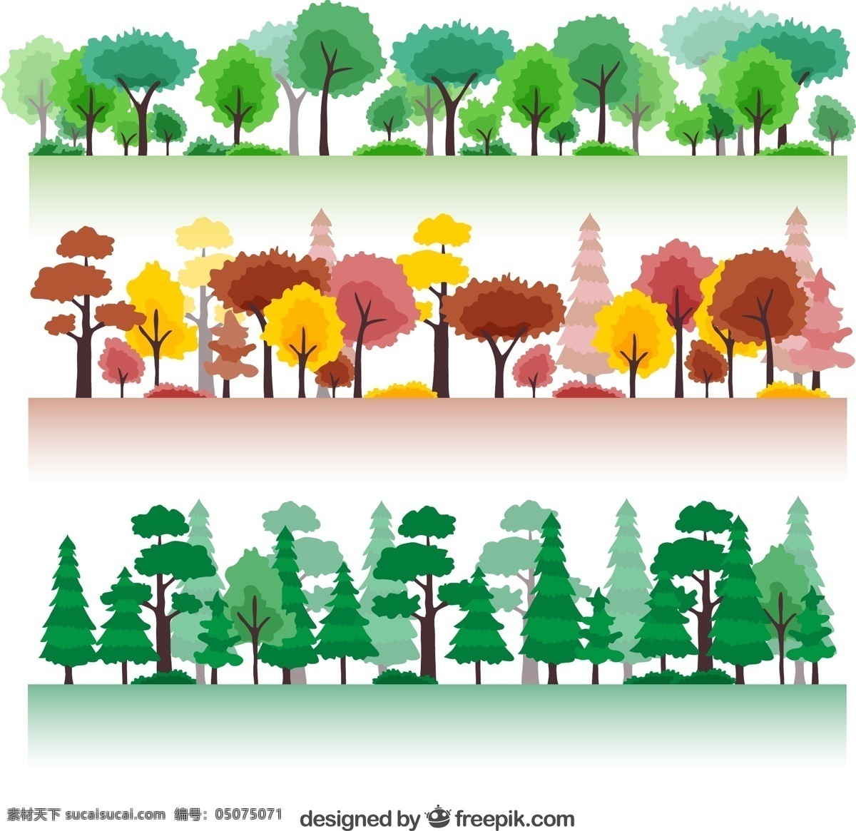季节性森林 树 夏天 自然 绿色 秋天 春天 森林 松树 季节 植被 白色