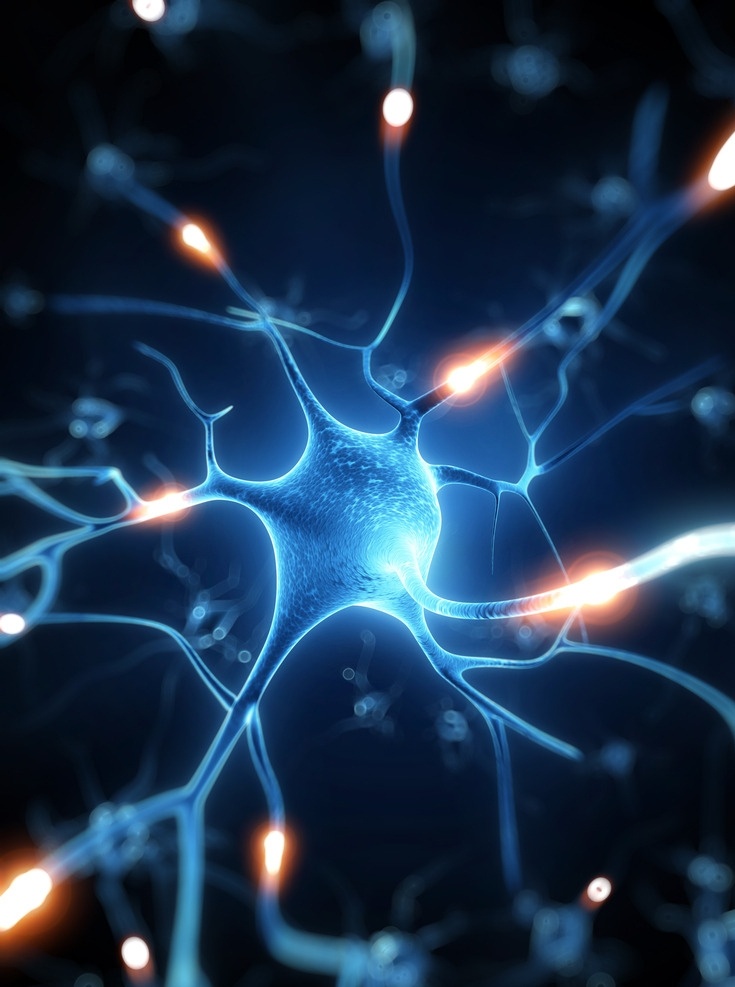 神经元 神经 触觉神经 大脑神经 医学 科学研究 现代科技