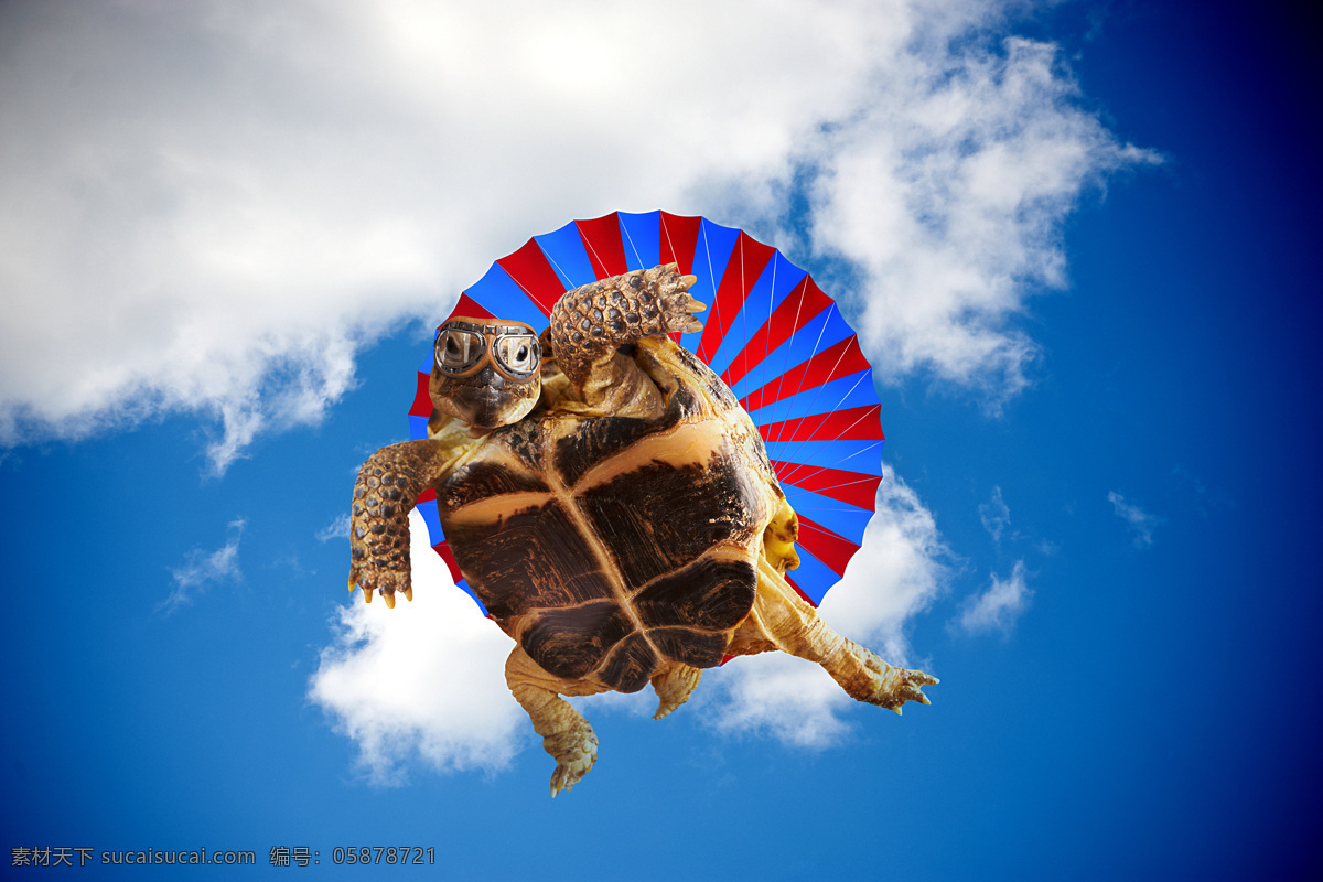 跳伞 乌龟 蓝天白云 降落伞 跳伞运动 动物 跳伞的乌龟 创意想法 其他类别 商务金融