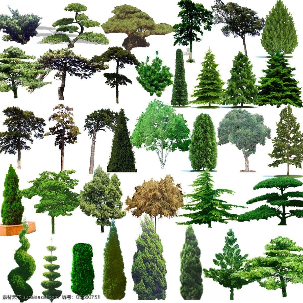松树 艺术树 花样树木 树木 树 树木树叶 生物世界