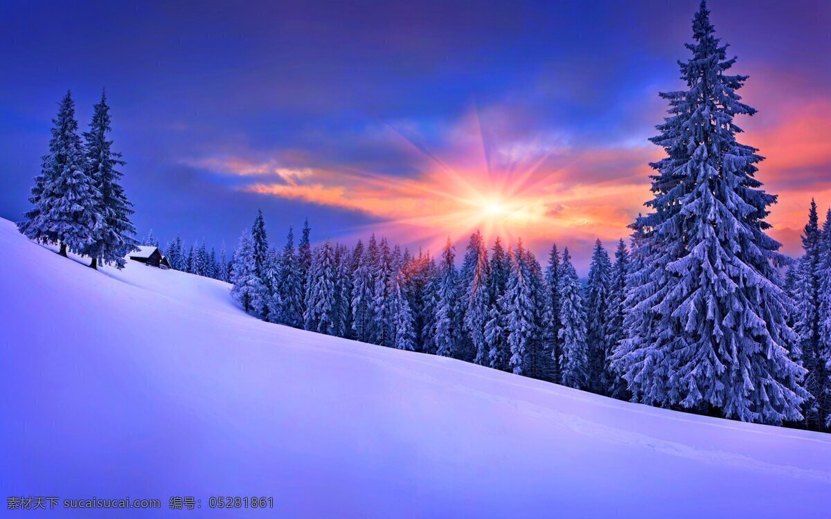 夕阳 下 雪山 美景 高山 树木 天空 多娇江山 自然景观 自然风景