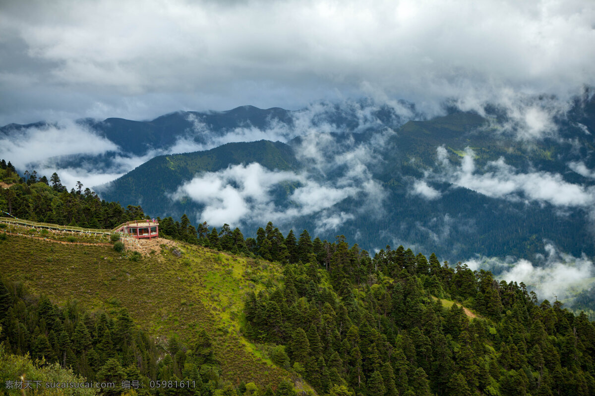 鲁朗林海 西藏 林芝 鲁朗 森林 云雾 山水风景 自然景观