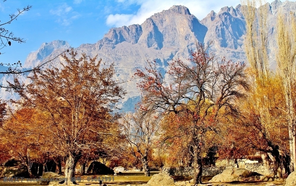 巴基斯坦风景 秋天 湖泊 树 枫树 黄色 倒影 山水风景 自然景观 旅游摄影 国外旅游