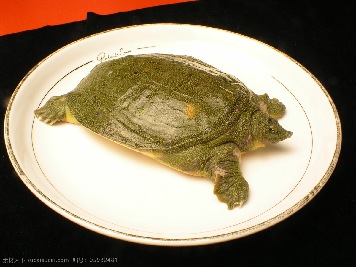 野生甲鱼 美食 传统美食 餐饮美食 高清菜谱用图