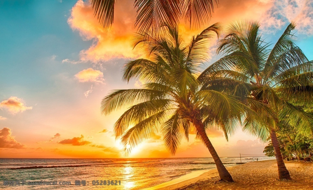 海滩 晚霞 霞光 阳光 光线 夕阳西下 椰子树 沙滩 海洋 海景 大海 蓝色 度假 休闲 美景 自然 云彩 天空 海岛 梦幻 马尔代夫 树林 清澈 海边 风光 美丽自然 自然风景 自然景观 景色 高清