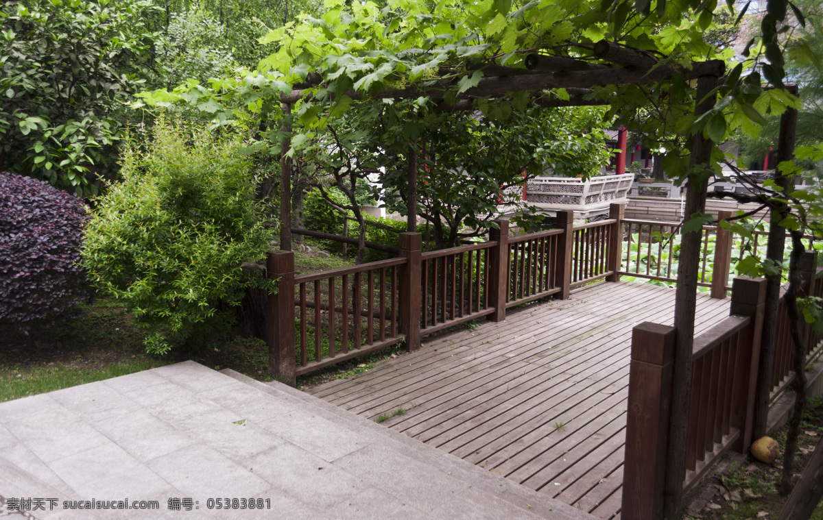 公园 国内旅游 荷塘 花腾 旅游摄影 绿化 上海 上海鲁迅公园 鲁迅公园 氧吧 指示牌 小径 围栏 园林绿化 psd源文件