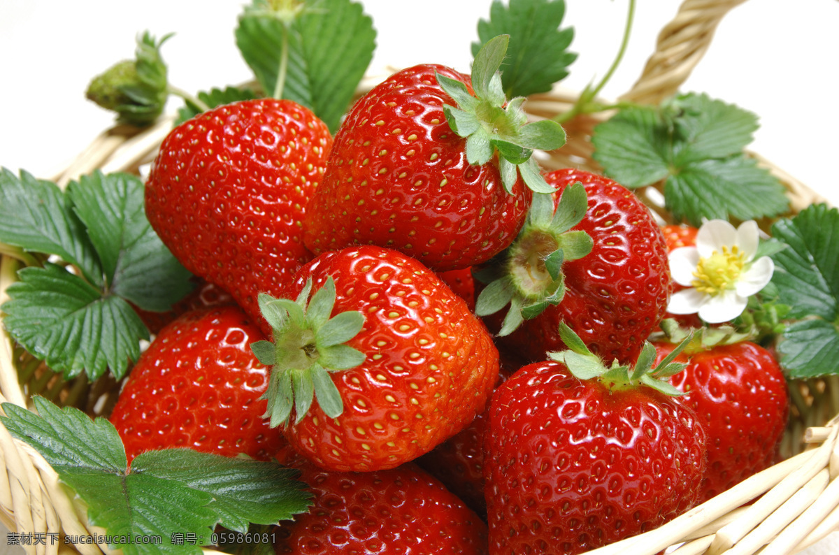 草莓 草莓图片 草莓素材 草莓高清图片 草莓图片素材 水果 蔬菜图片 餐饮美食