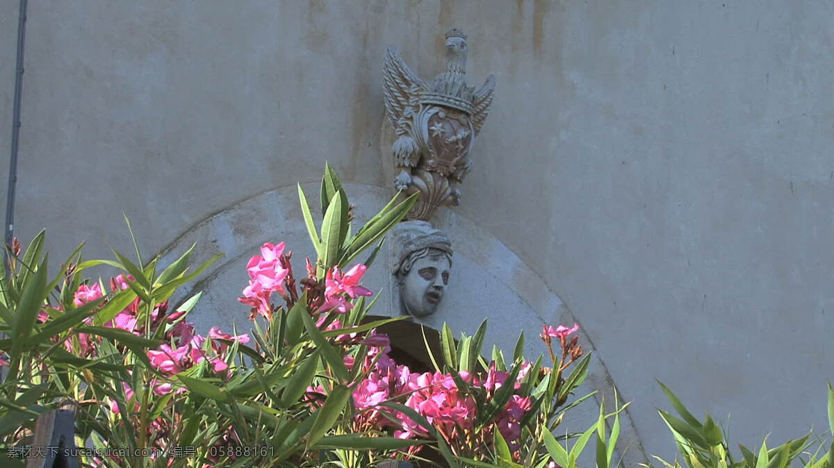 西西里岛 怪 酒店 花 股票 视频 雕刻 雕塑 粉红 脸 门 视频免费下载 意大利 奇怪 石 拱 其他视频