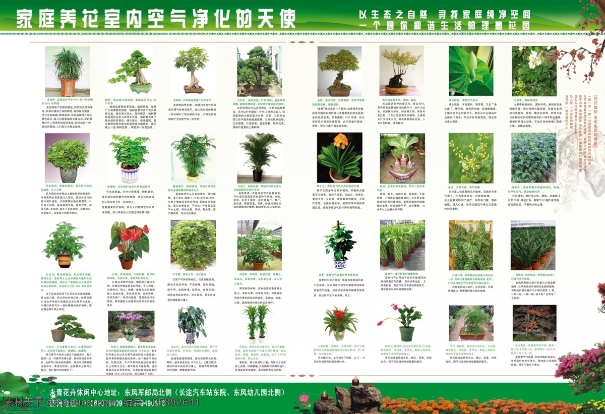 花卉彩页 花卉 彩页 a3 植物 盆景 dm宣传单 广告设计模板 源文件