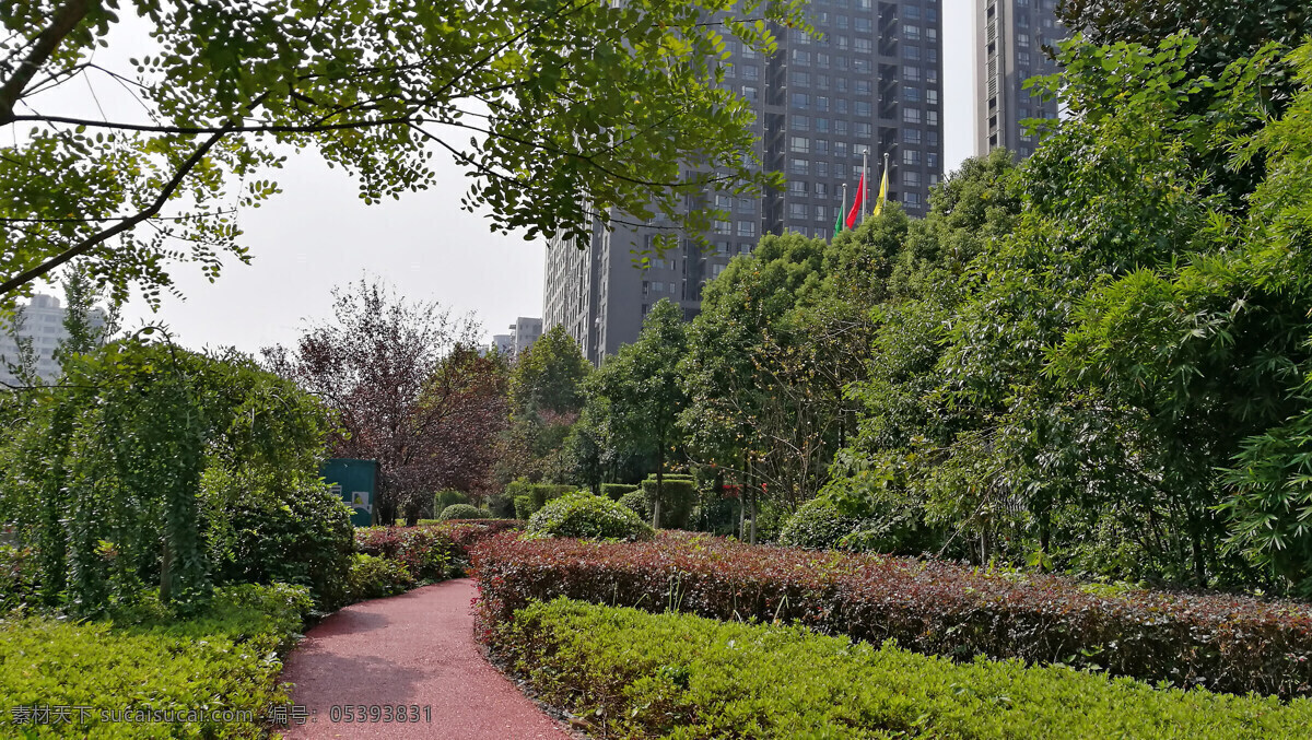 城市绿道 绿道 景观绿化 城市绿地 城市美景 灌木 红檵木 花带 绿化带 建筑园林 园林建筑