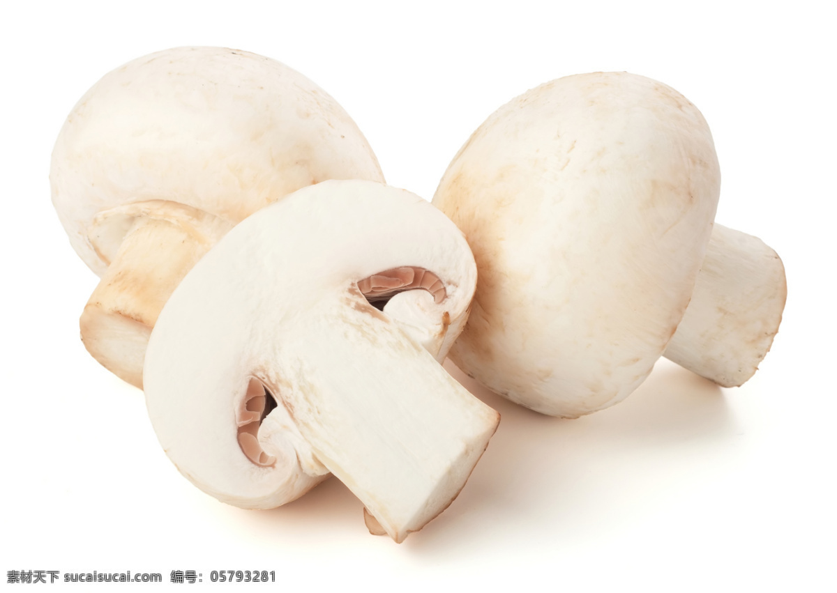 香菇图片素材 新鲜蔬菜 香菇 蘑菇 蔬菜图片 餐饮美食