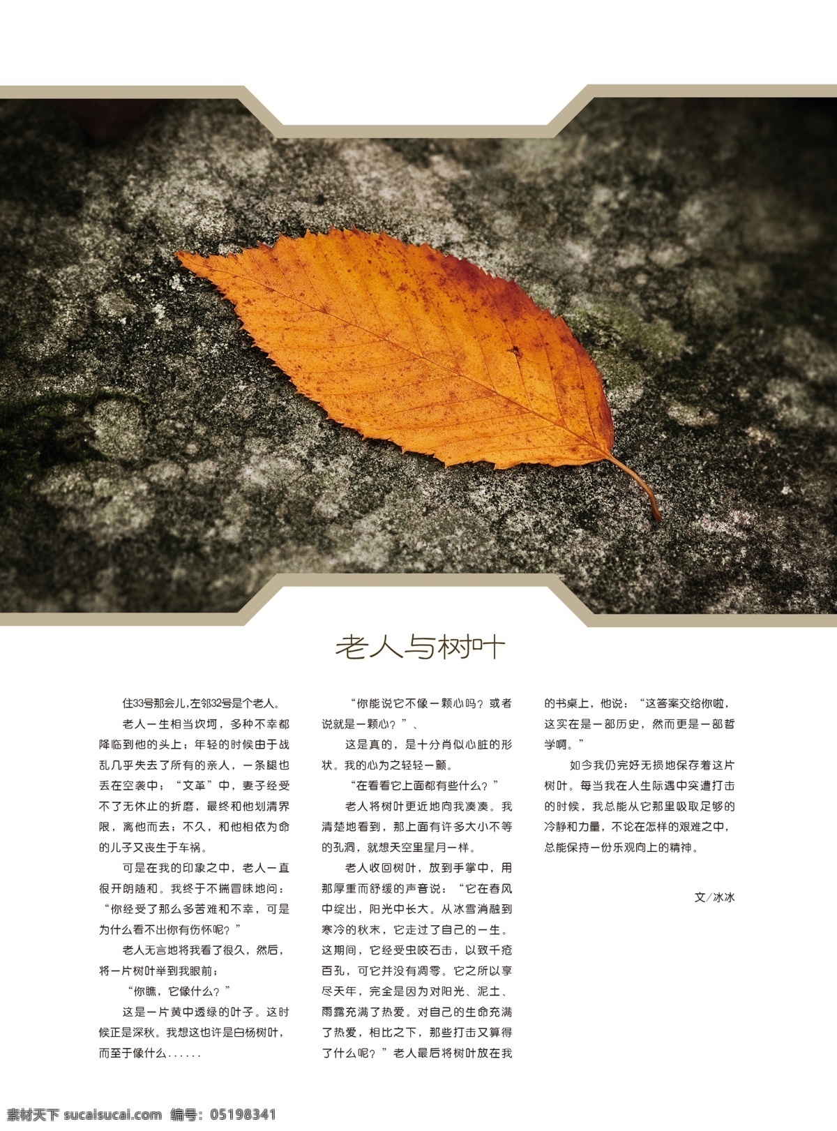 杂志 内页 广告设计模板 画册 画册设计 老人 排版 树叶 杂志内页 文章 源文件 其他画册整套