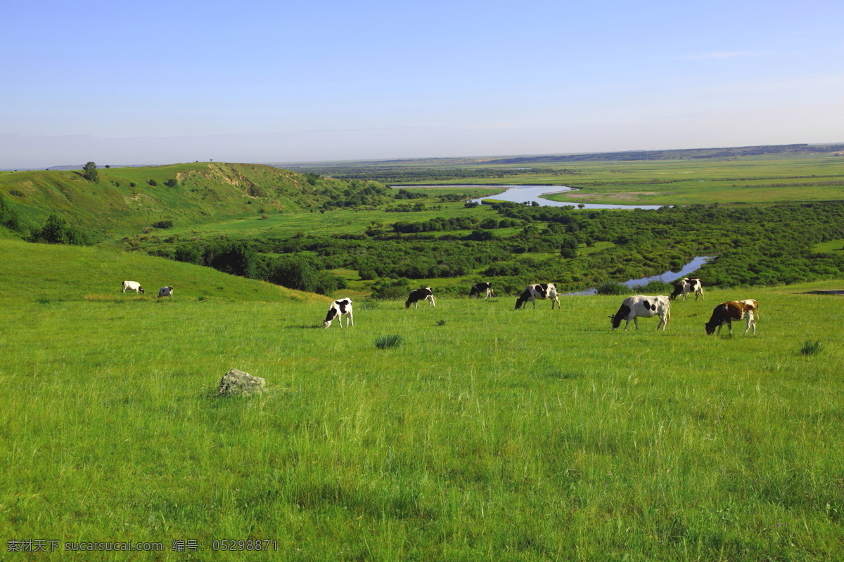 伊敏河 内蒙古自治区 呼伦贝尔 草原 河流 牛群 绿树 蓝天 天堂 自然风景 旅游摄影