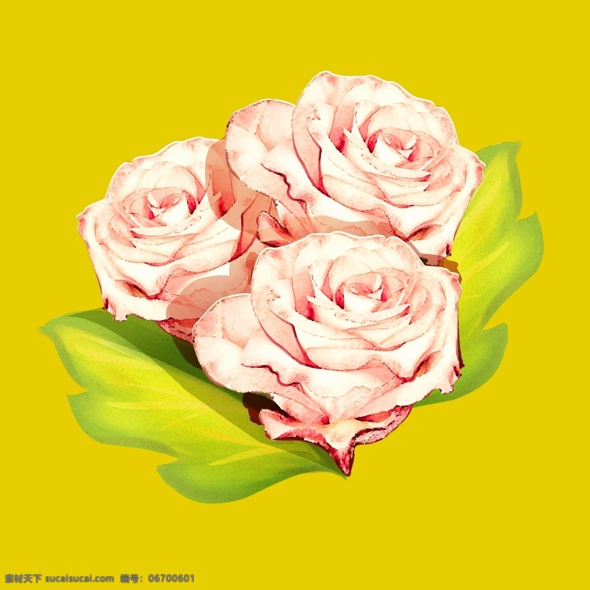 七夕 情人节 手绘 玫瑰 商用 元素 插画 花卉 花草 文艺 小清新 花 月季