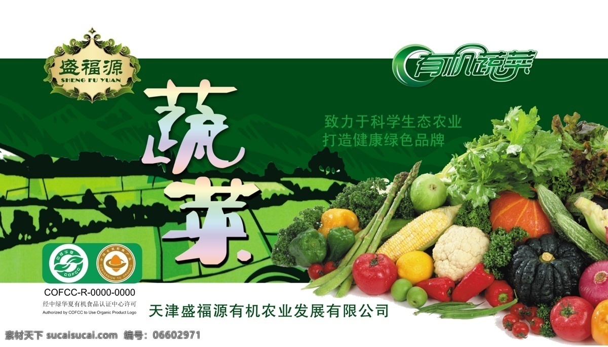 蔬菜 包装 包装设计 广告设计模板 蔬菜包装 源文件 模板下载 psd源文件