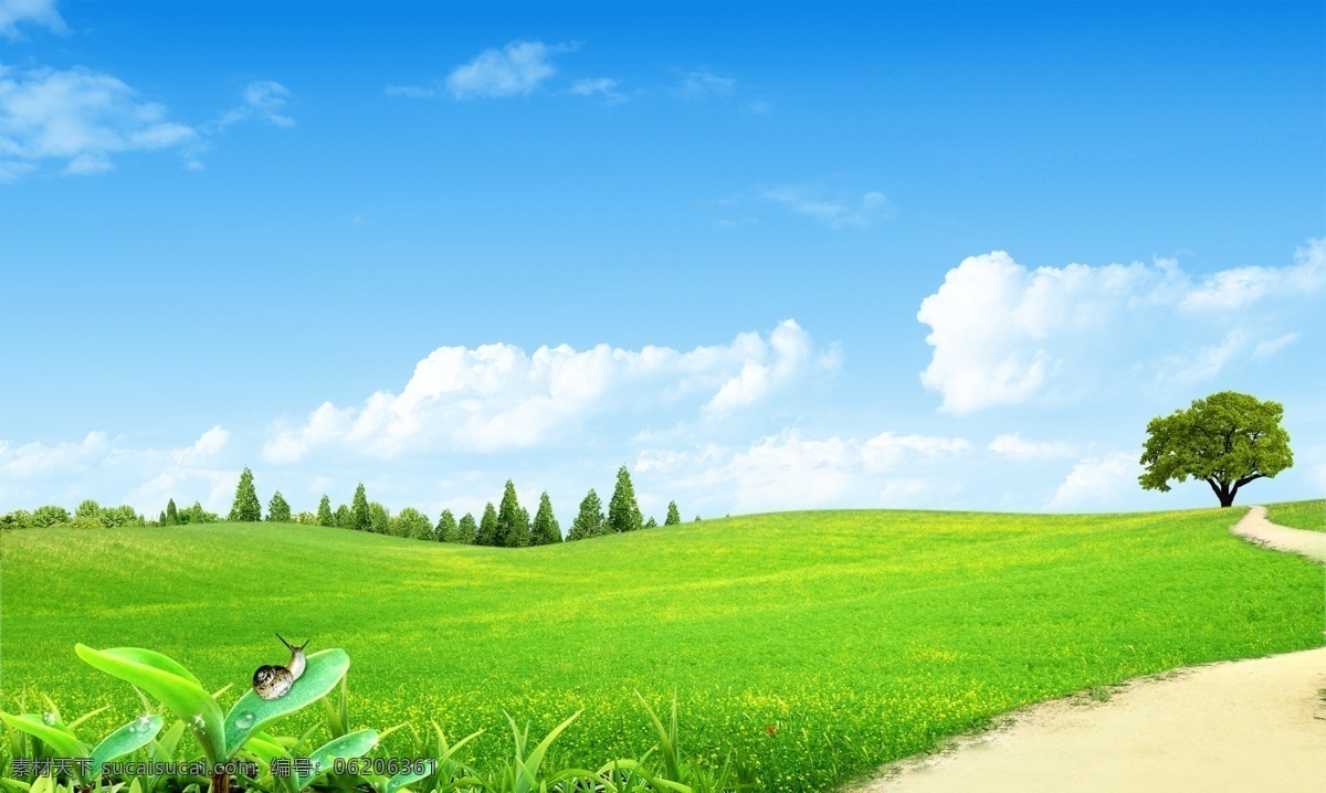 田园风光 模板下载 唯美风景 一颗树 种植园 山坡 田野风光 农作物 绿草 草地 草皮 草坪 蓝天白云 蜗牛 风景 分层 源文件