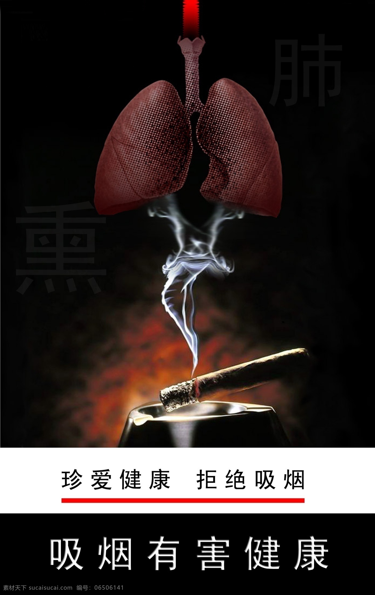 戒烟宣传海报 戒烟 禁烟 吸烟危害 烟肺 吸烟有害 戒烟海报 分层