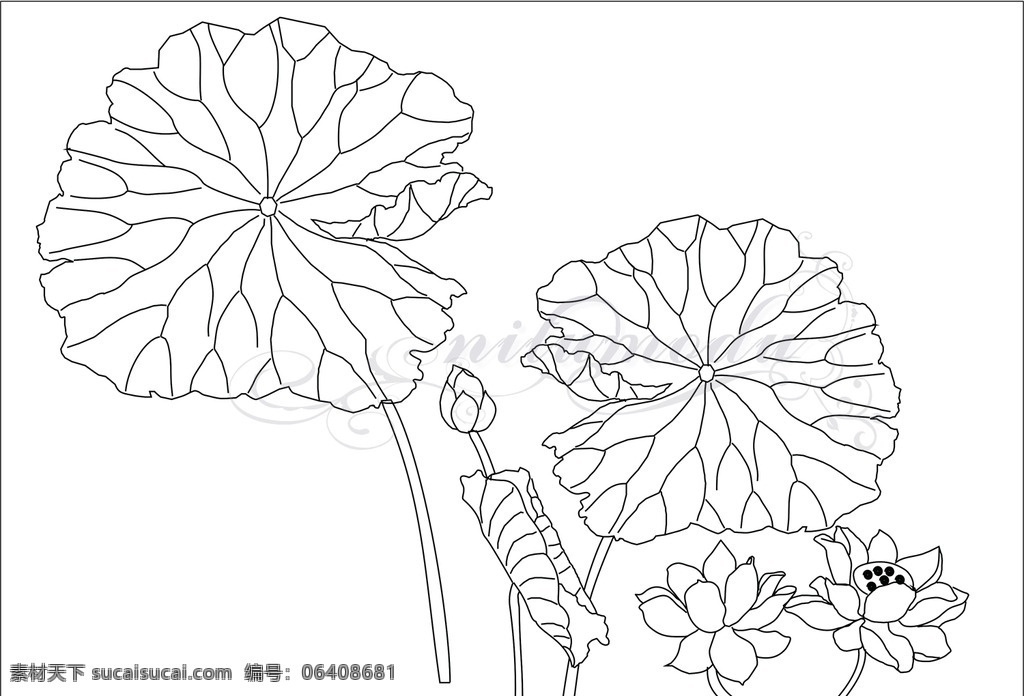 荷花 荷叶 矢量图 线条画 底纹边框 条纹线条