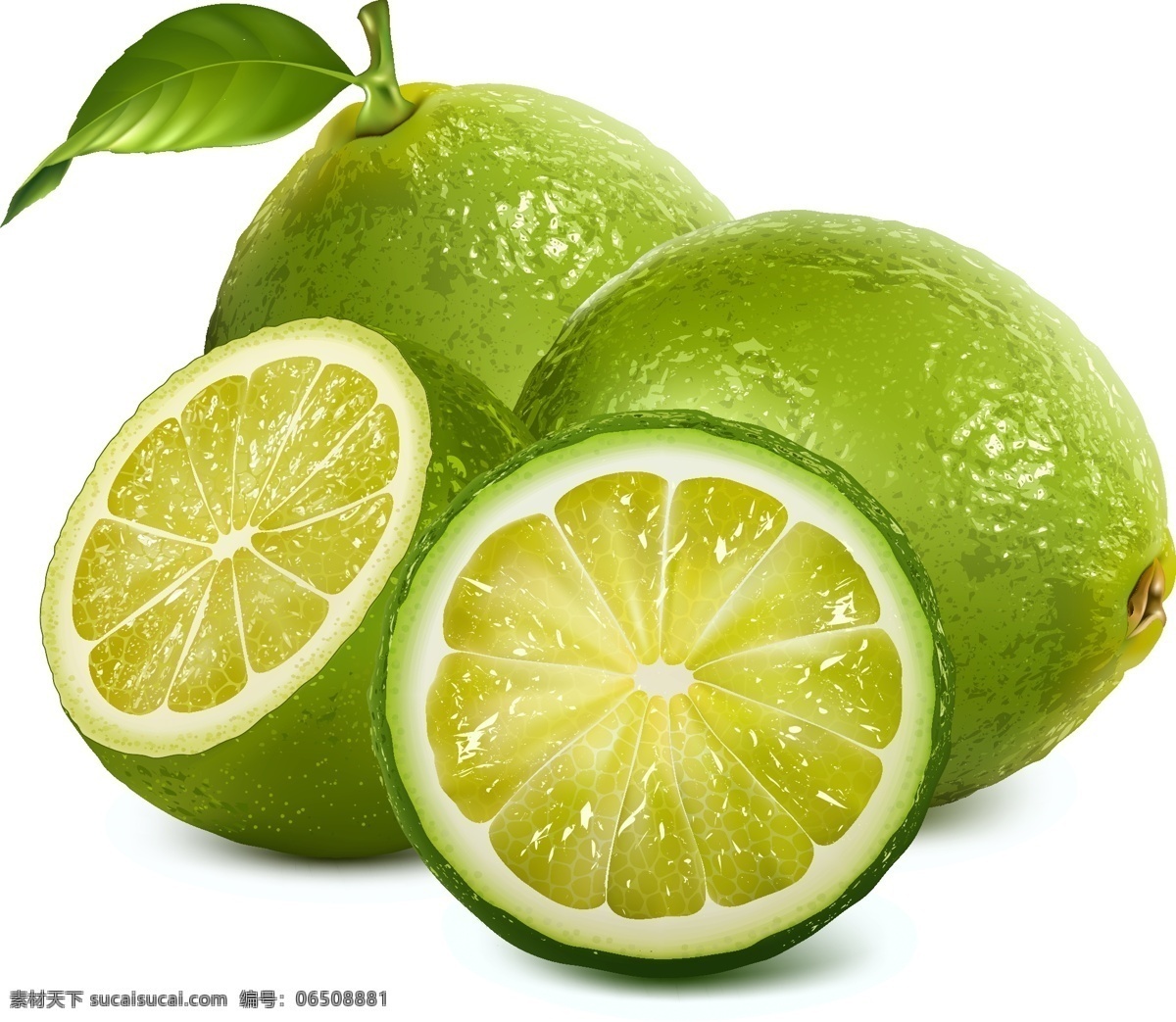 柠檬 水果 鲜柠檬 新鲜水果 洋柠檬 益母果 青柠檬 绿色 可口的柠檬 进口柠檬 酸涩 去火 助消化 柠檬片 柠檬切片 平面素材