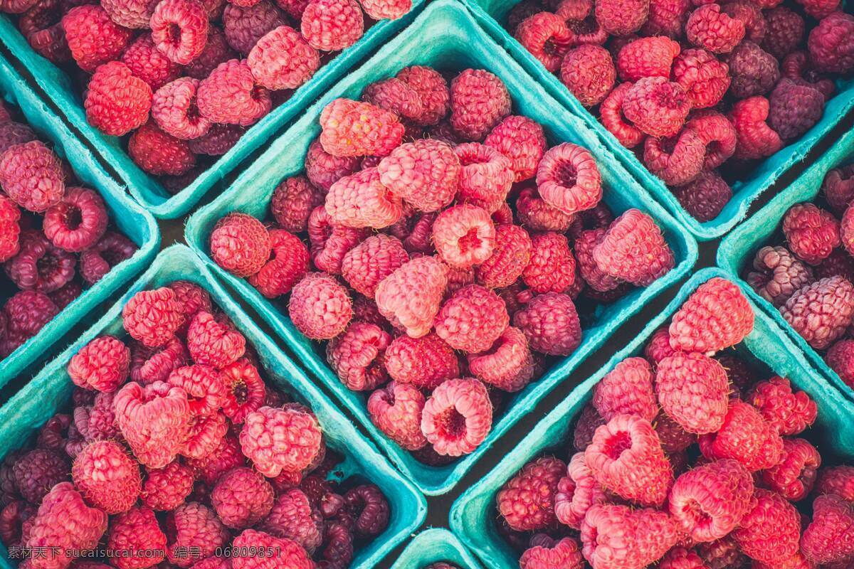 树莓 红莓 野果 浆果 生物世界 水果