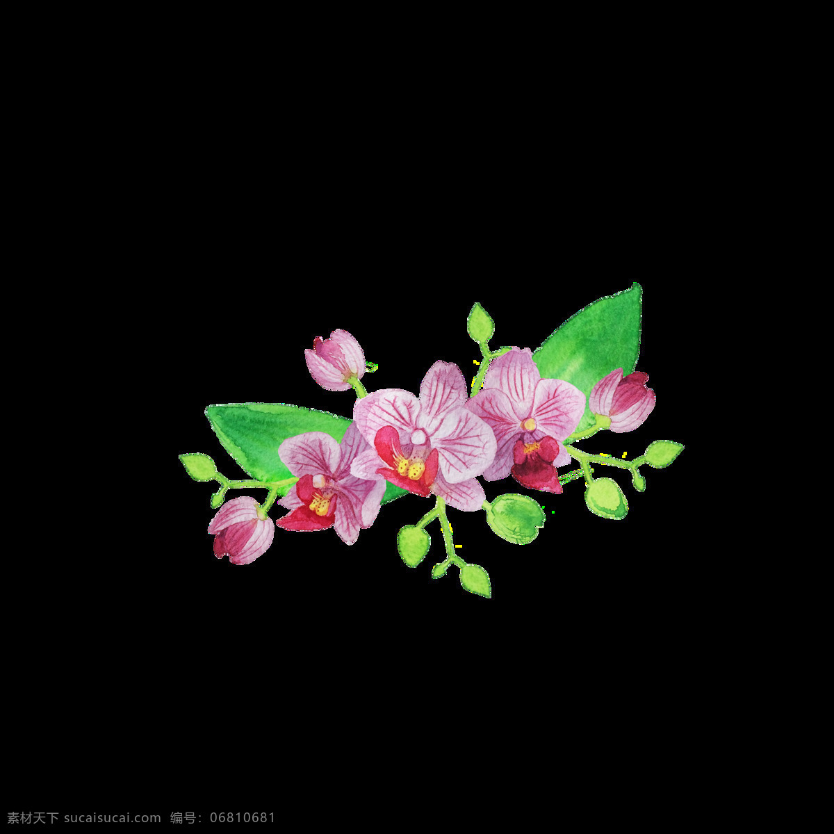 迷人 花卉 透明 装饰 抠图专用 设计素材