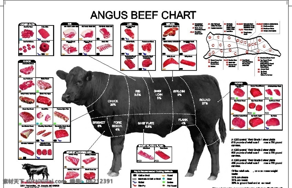 牛结构图 分解 牛 牛肉 西餐 牛排 展板 展板模板 矢量