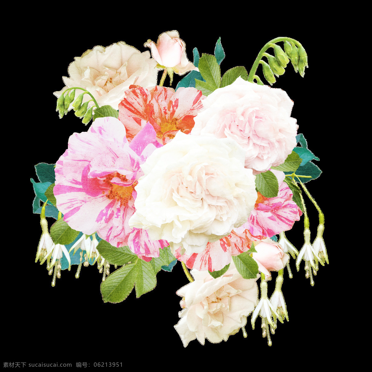 富强 花丛 卡通 透明 花朵 白色 透明素材 免扣素材 装饰图案