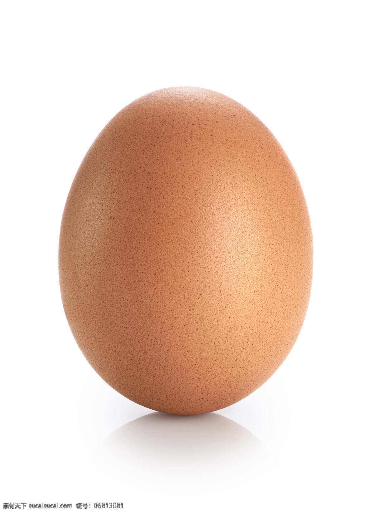 一个 棕色 鸡蛋 特写 蛋壳 生鸡蛋 蛋 生的 新鲜 鸭蛋 营养 高清 摄影jpg 餐饮美食 食物原料