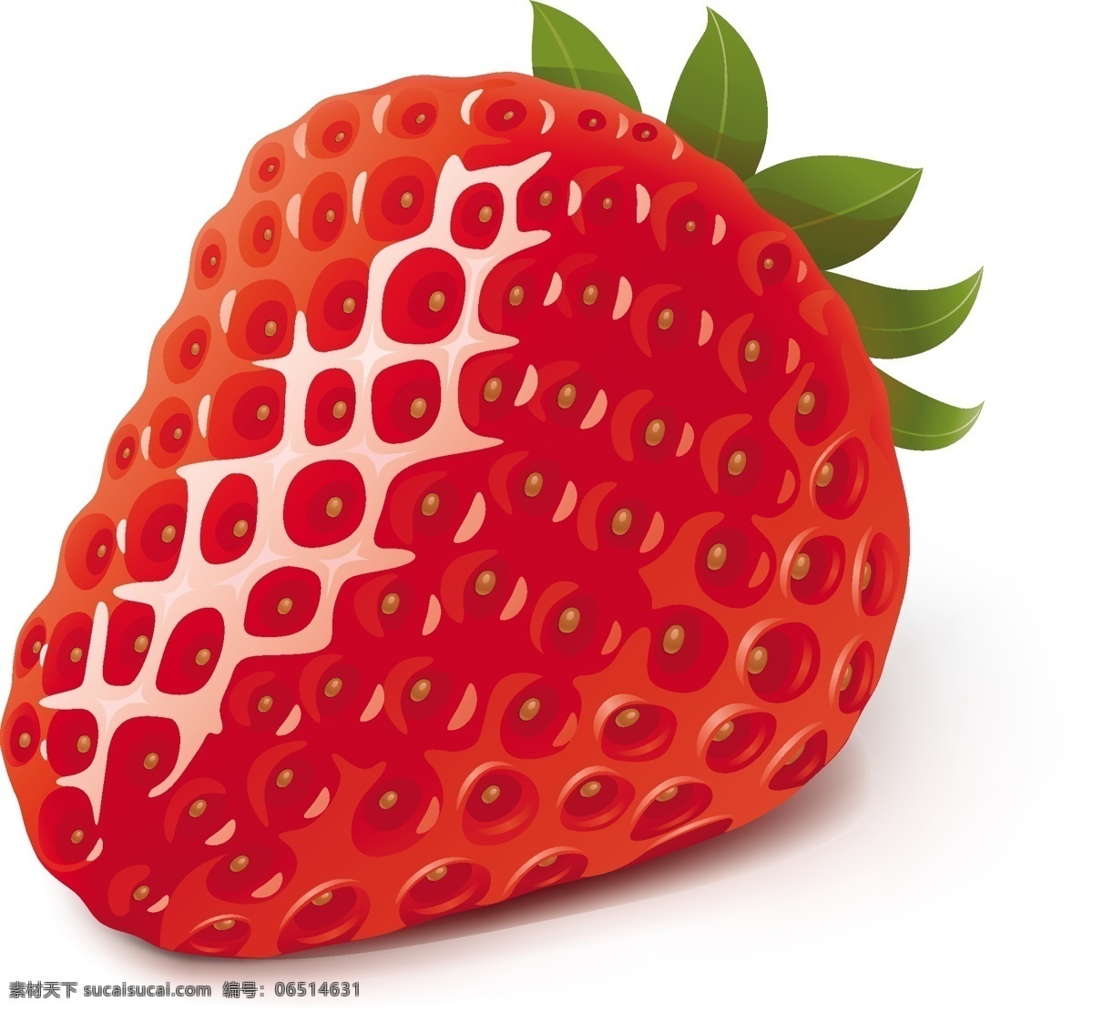 高清 草莓 矢量图 格式 水果 矢量